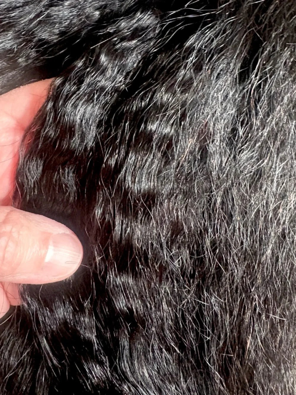 NIB Real Human Hair Wig, 16" - Picture 11 of 12
